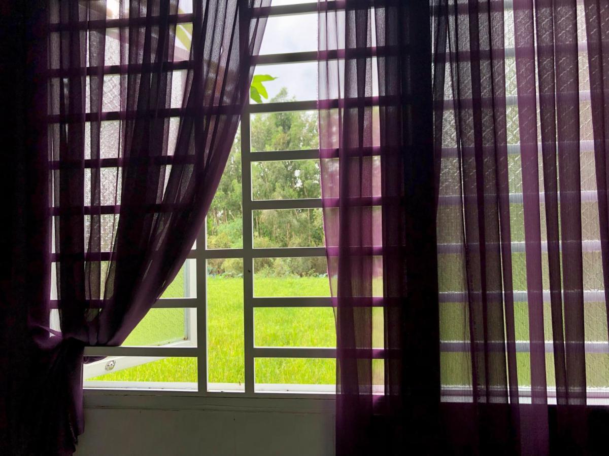 Huong Tram Homestay Ho Da エクステリア 写真