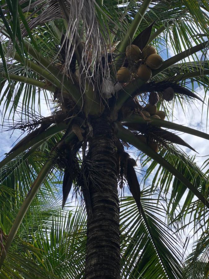 Huong Tram Homestay Ho Da エクステリア 写真