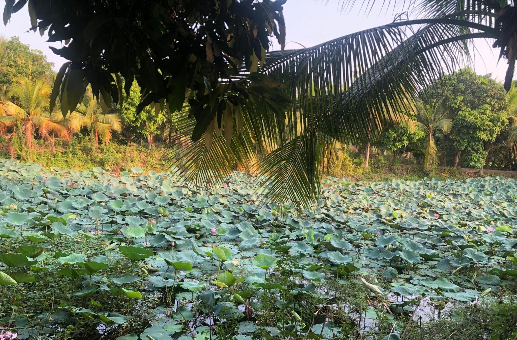 Huong Tram Homestay Ho Da エクステリア 写真