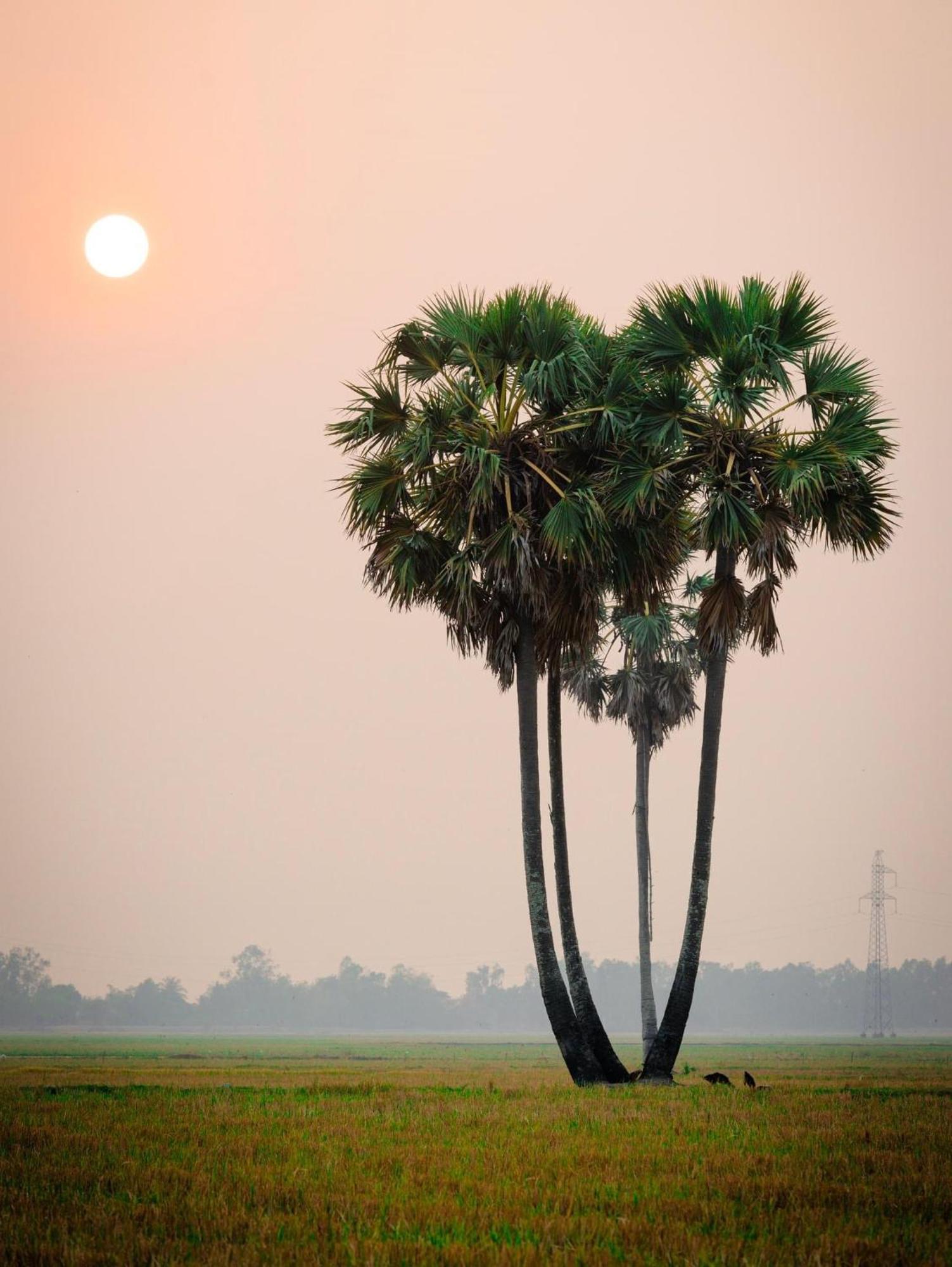 Huong Tram Homestay Ho Da エクステリア 写真