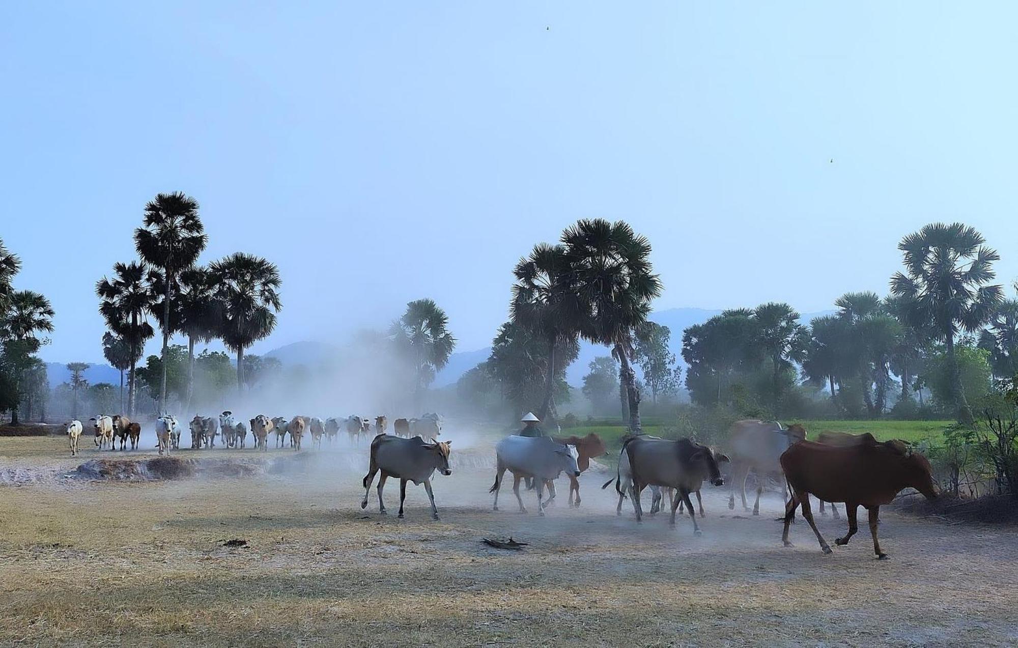 Huong Tram Homestay Ho Da エクステリア 写真