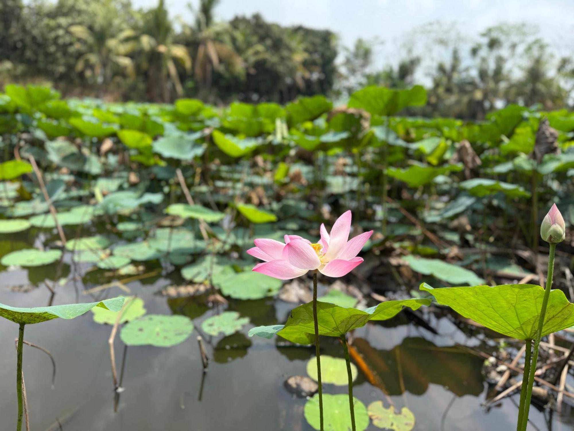Huong Tram Homestay Ho Da エクステリア 写真