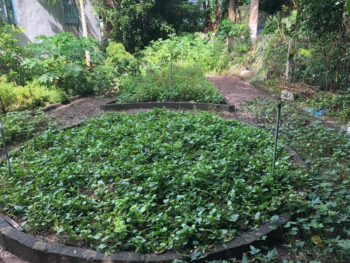 Huong Tram Homestay Ho Da エクステリア 写真